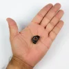 Pasacabo Ronstan 6 mm con inserción de acero inoxidable - Imagen 2